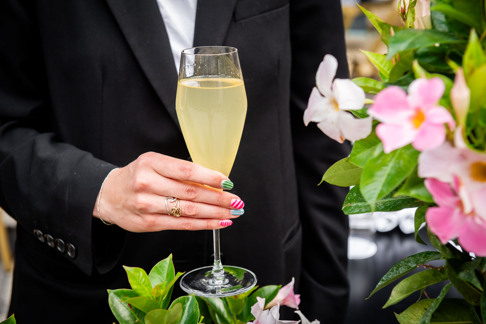 Mistral Fizz_DSC6078